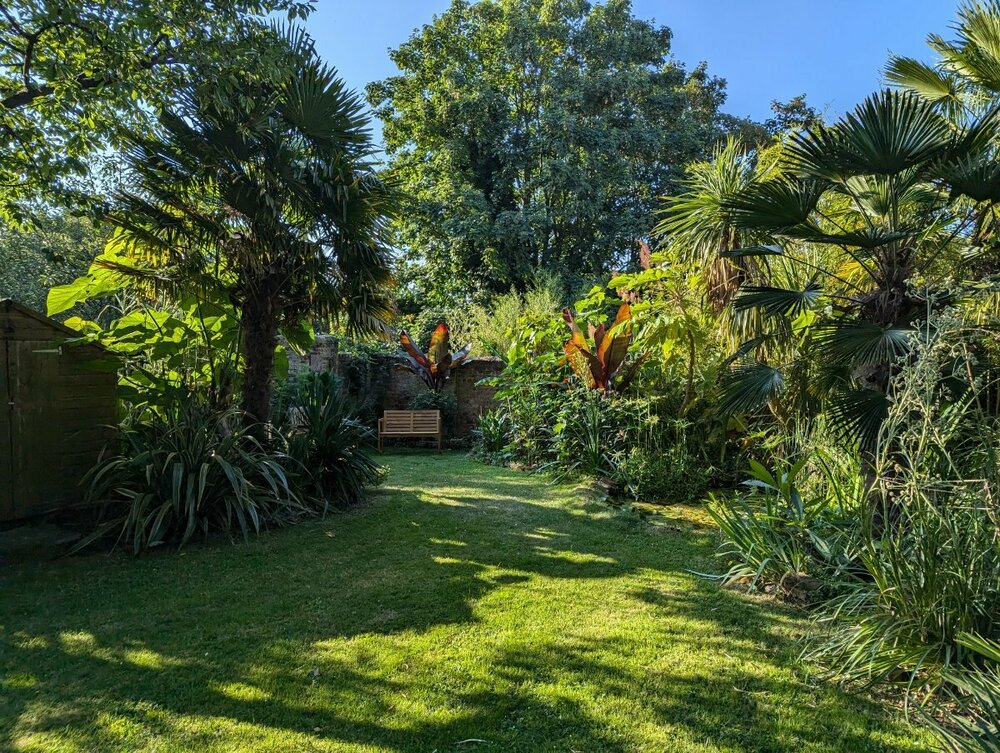 PXL_20240729_065035509 (2).jpg