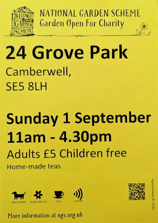 PXL_20240731_150122447 (1).jpg