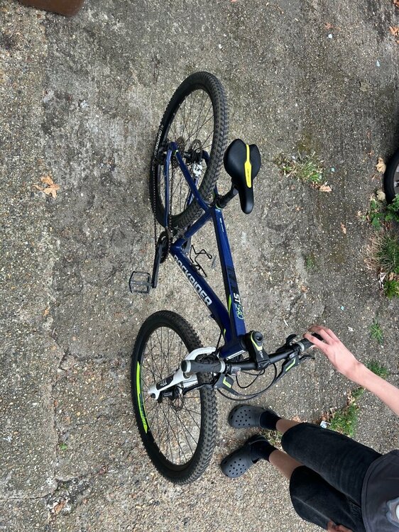 Rockrider bike 2.jpg