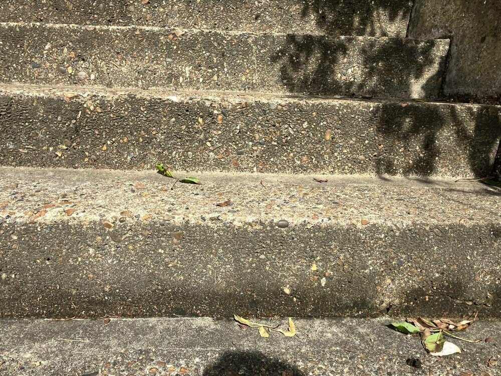 WhatsApp Image 2024-08-14 at 4.12.20 PM (1).jpeg