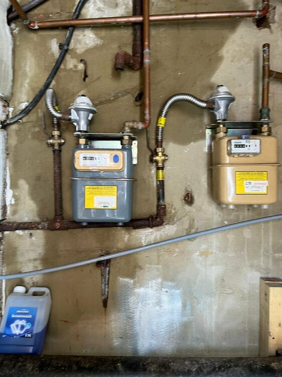 WhatsApp Image 2024-08-14 at 4.12.20 PM (11).jpeg