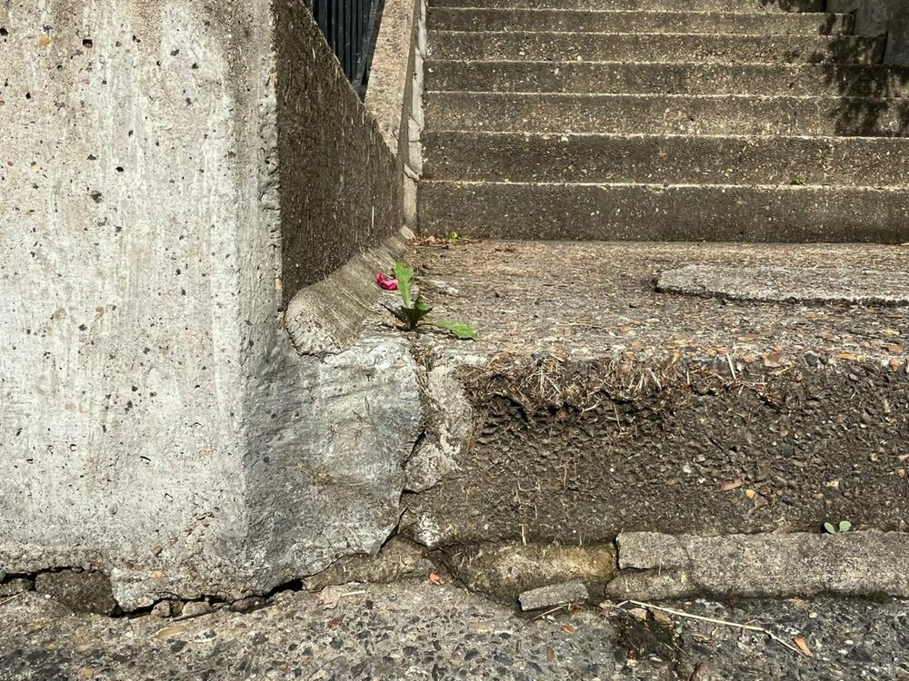 WhatsApp Image 2024-08-14 at 4.12.20 PM (4).jpeg