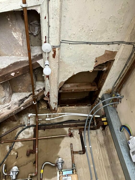 WhatsApp Image 2024-08-14 at 4.12.20 PM (6).jpeg