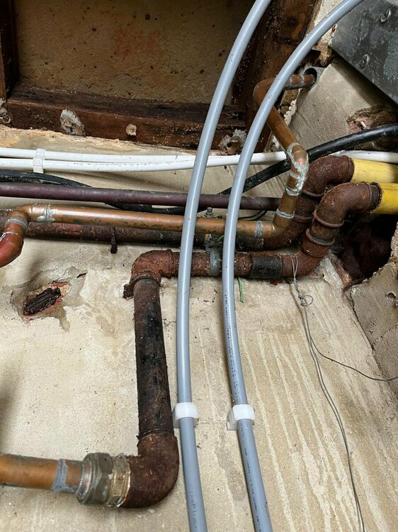 WhatsApp Image 2024-08-14 at 4.12.20 PM (8).jpeg