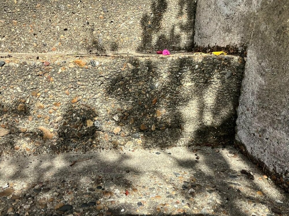 WhatsApp Image 2024-08-14 at 4.12.20 PM.jpeg