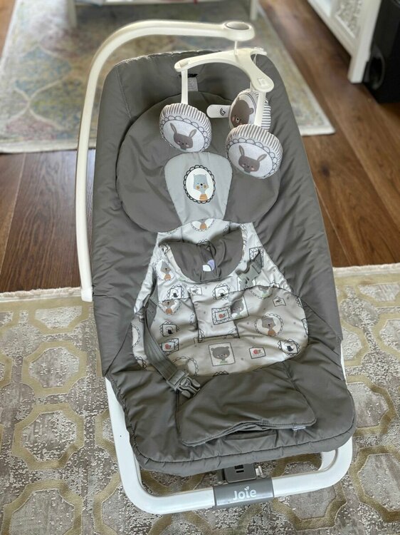Joie Dreamer Bouncer.jpg