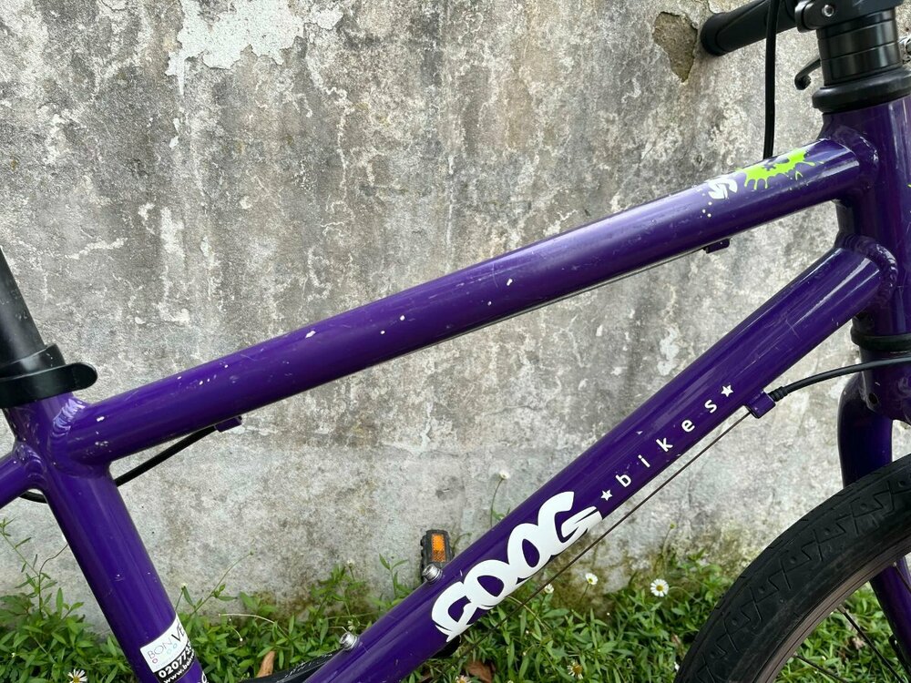 Closeup IMG_6494.jpg