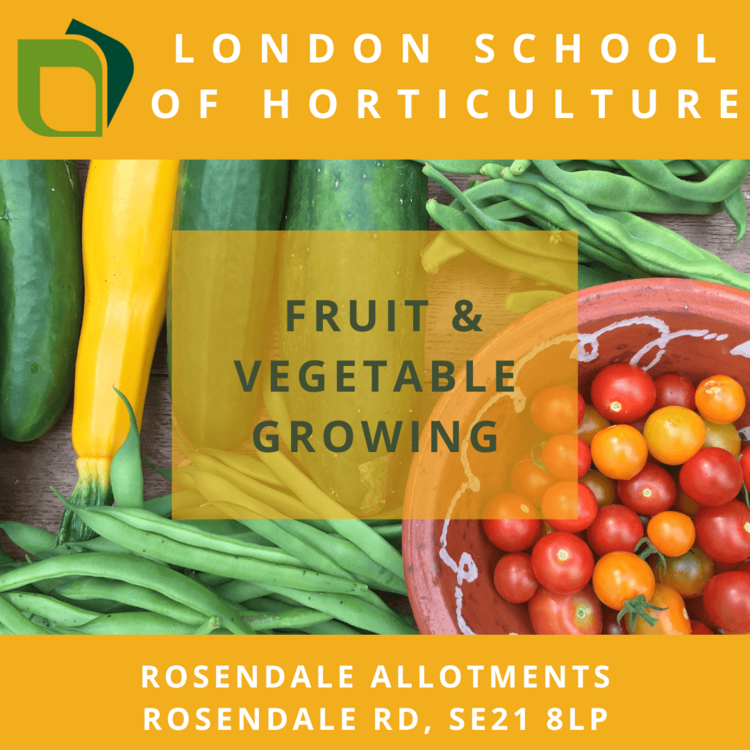 fruit&veg rosendale no date tinified.png