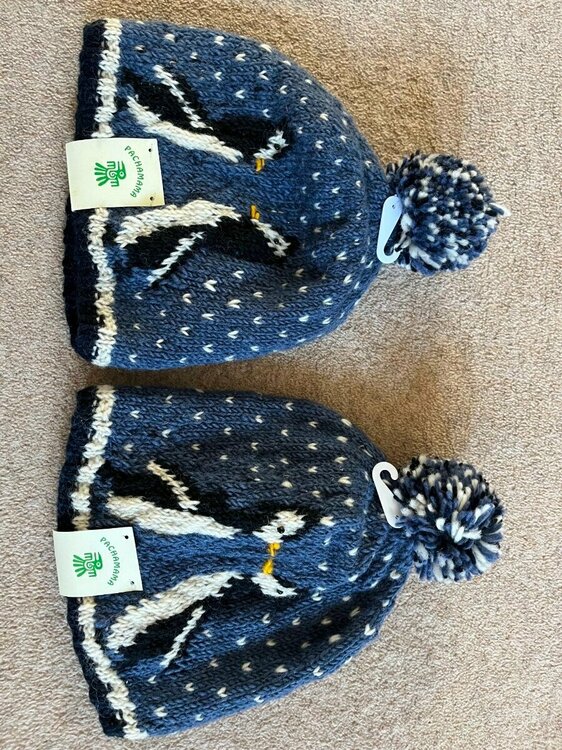 Penguin Hats.jpeg