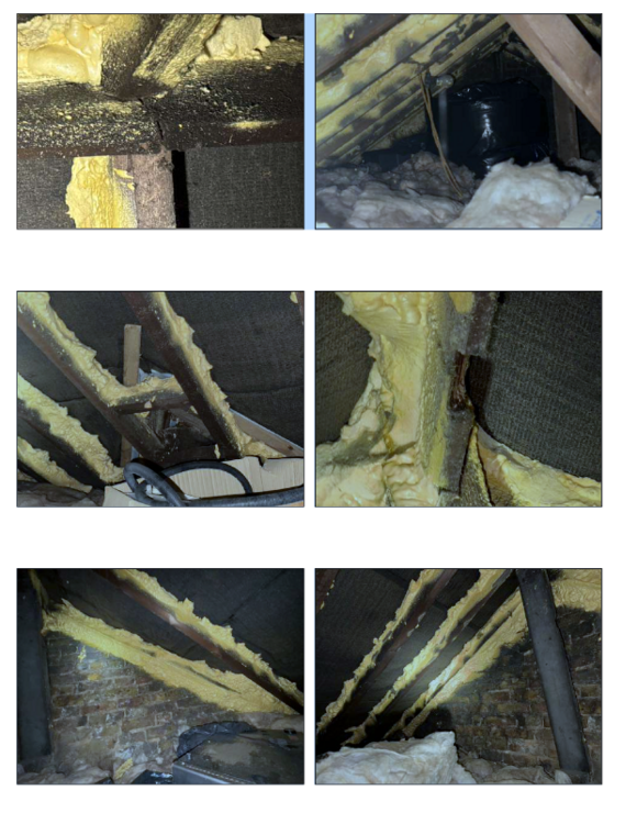 Screenshot 2024-11-11 at 12.18.29.png