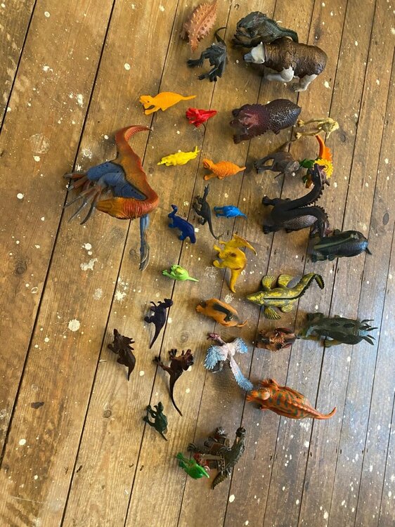 WhatsApp Image 2024-11-16 at 11.55.14.jpeg