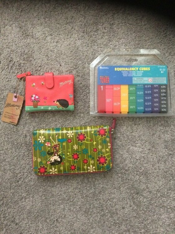 purse equivalency cubes.jpg