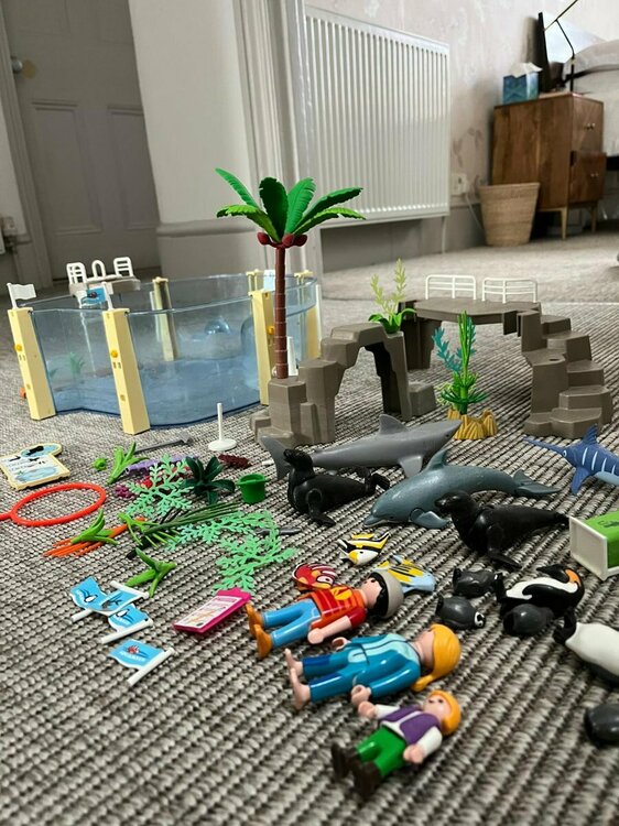 PHOTO-2024-12-18-13-43-06 (1).jpg