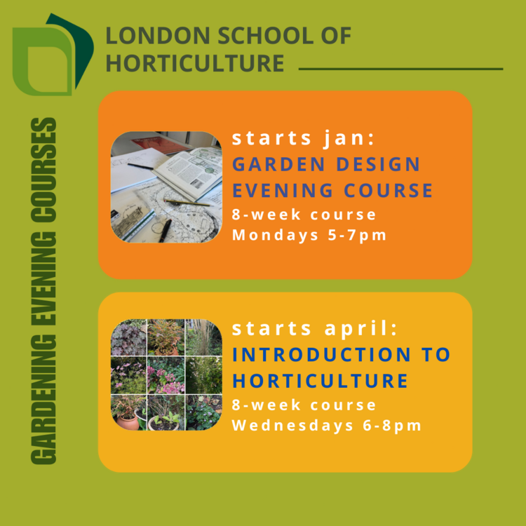 HHS evening courses 2025.png