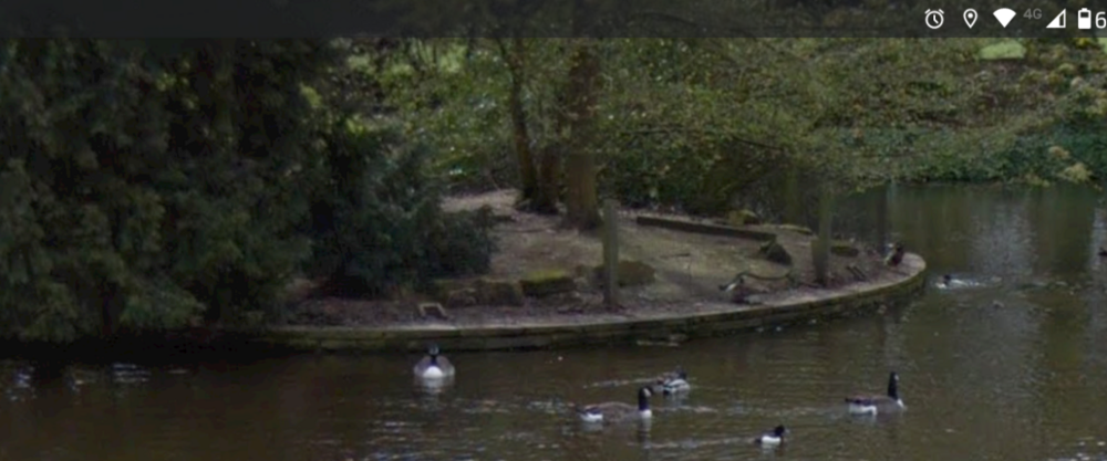 Screenshot_20250205-190025-589.png