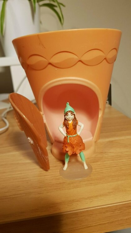 Fairy pot.jpg