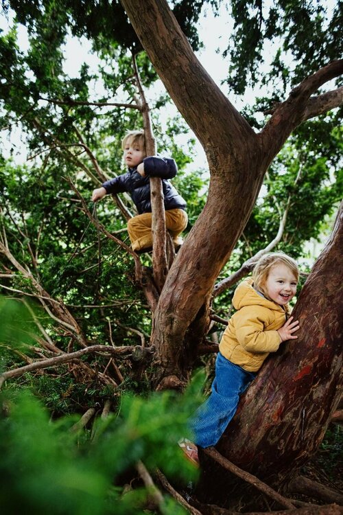 Unposed-family-photography-stoke-newington-kids-climbing-tree-clissold-park-london.jpg