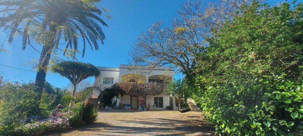 Casa Lily Home Exchange 13.jpg