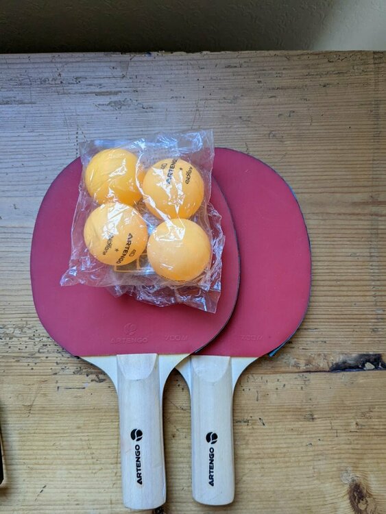 Table tennis bats.jpg