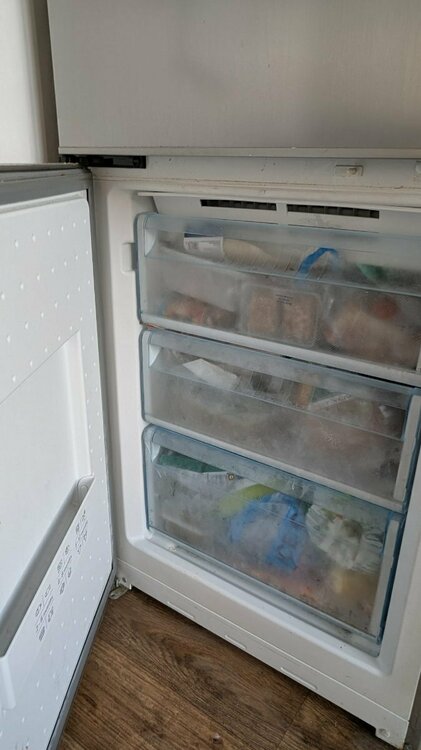 WhatsApp Image 2025-04-26 at 18.05.56.jpeg