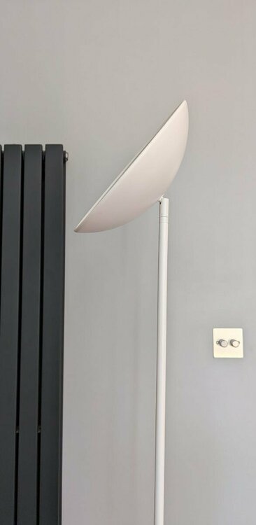 White, head angled.jpg