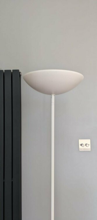 White, top straight.jpg