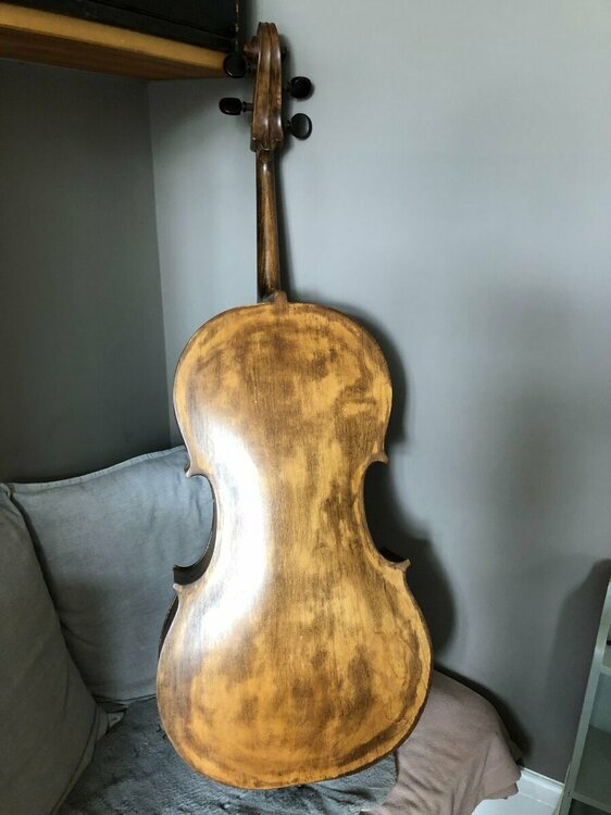 Cello 2.jpg