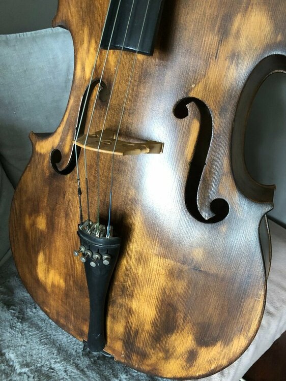 Cello 8.jpg