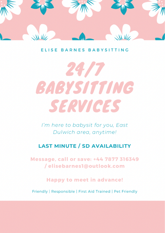 Pastel Blue & Pink Floral Babysitting Flyer.png