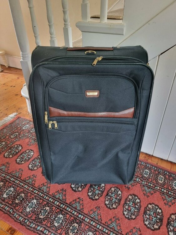 Suitcase 1.jpg