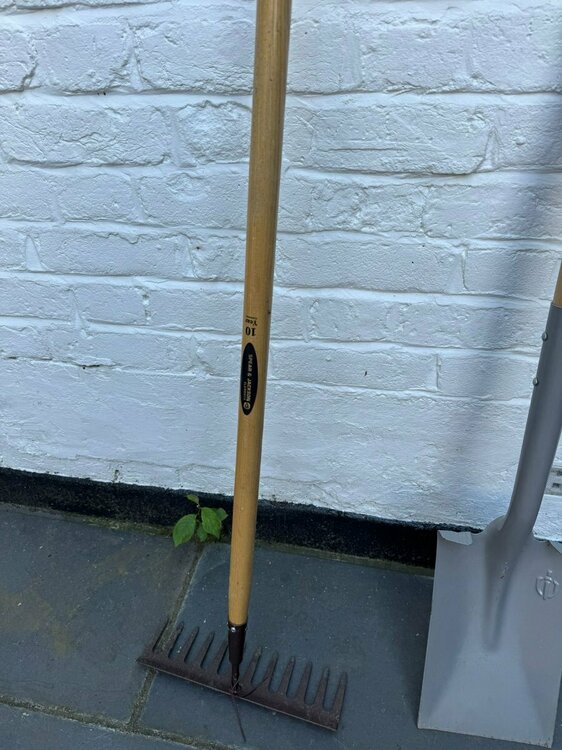 WhatsApp Image 2025-05-11 at 18.27.33.jpeg