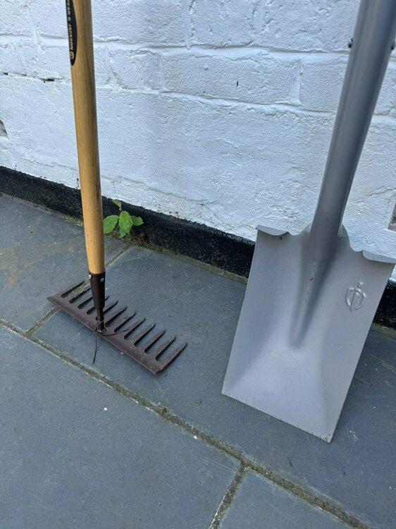 WhatsApp Image 2025-05-11 at 18.27.37.jpeg