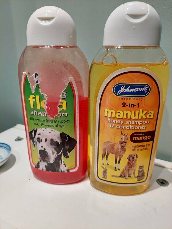 WhatsApp Image 2025-05-24 at 21.25.26.jpeg