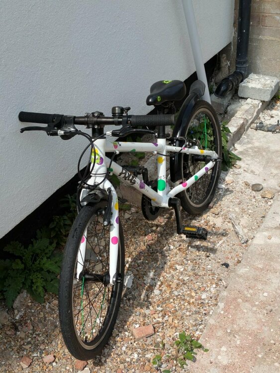 WhatsApp Image 2025-05-31 at 15.01.03 (2).jpeg