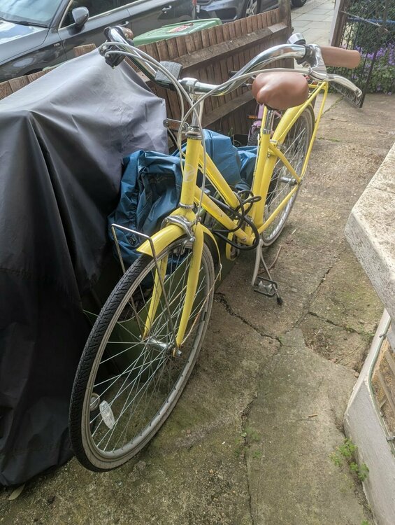 Yellow bike from front.jpeg