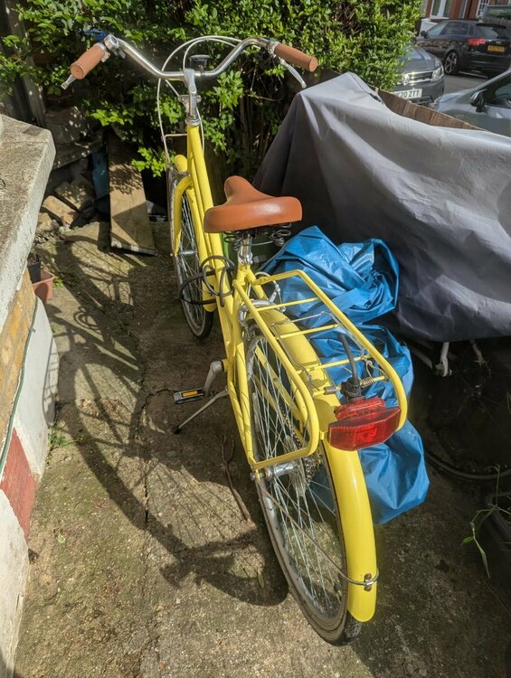 Yellow bike from the back.jpeg