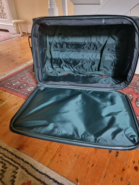 suitcase 2.jpg