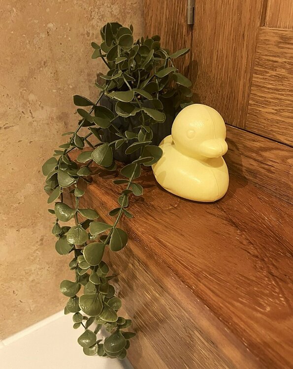 Bathroom duck.JPEG