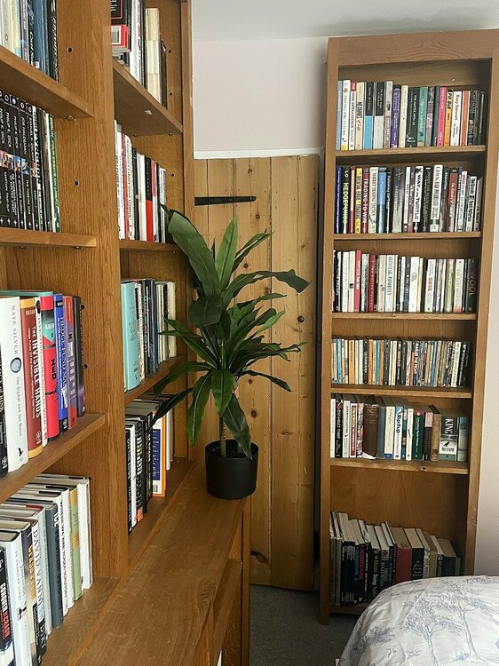 Bedroom 2 shelves.JPEG