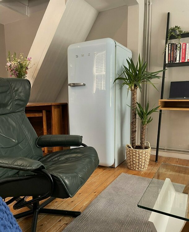 Chair and fridge.JPEG