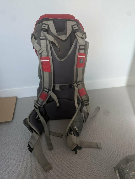 LittleLife back.jpeg