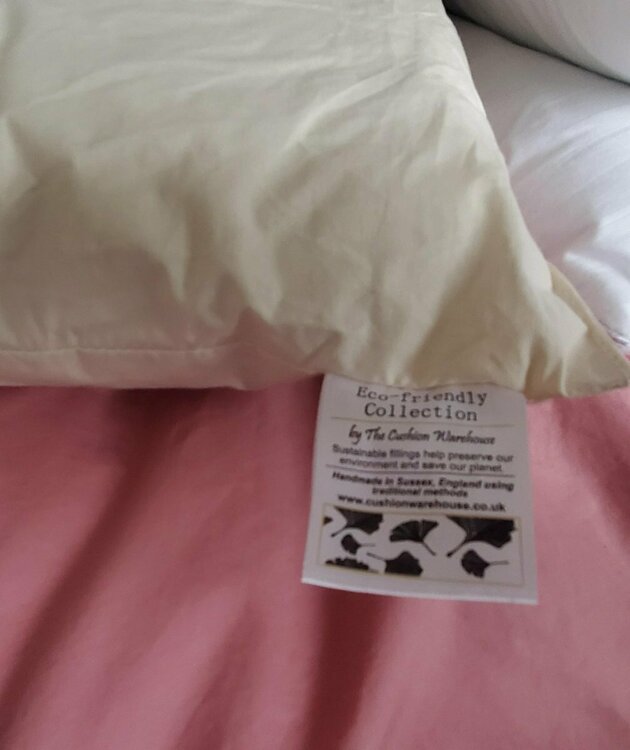 Pillow 2.jpg