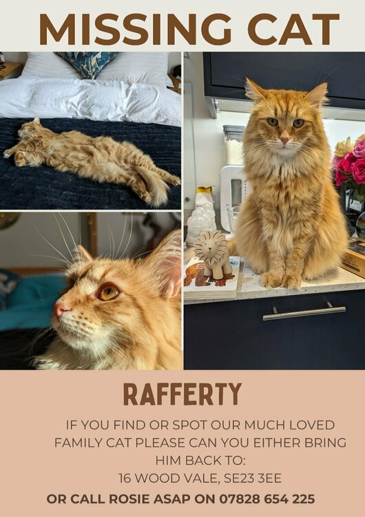 Rafferty Poster (2).jpg