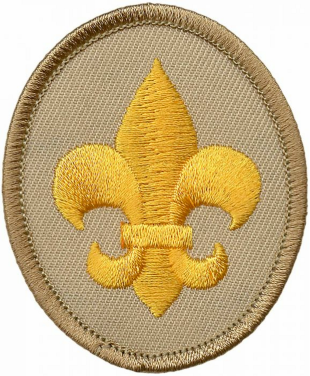 Scouts Badge.png
