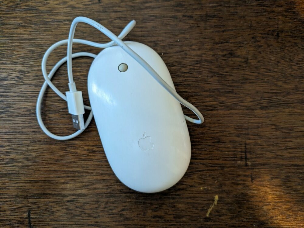 mouse.jpg