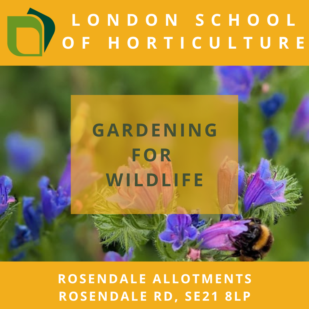 Wildlife-friendly Gardening Workshop