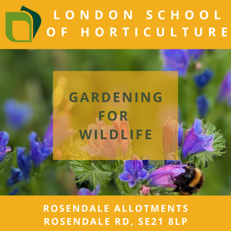 gardeningforwildlife.thumb.png.e252d9a488e0401e8e05795dced0c037.png