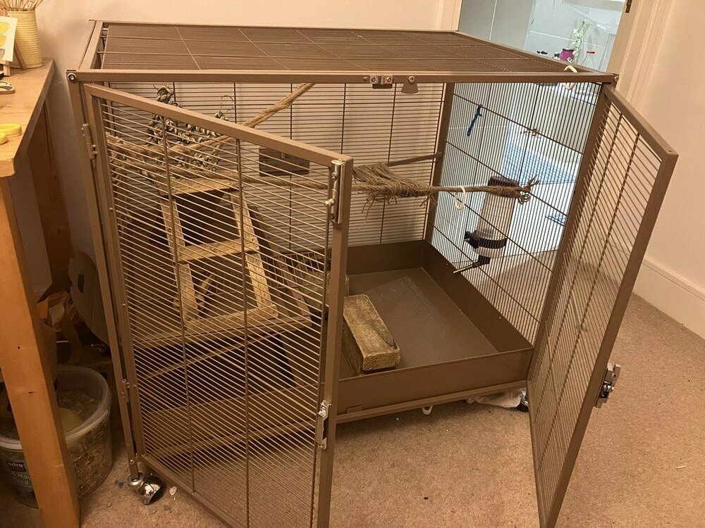 IMG_1754 Little Zoo Venturer.jpg