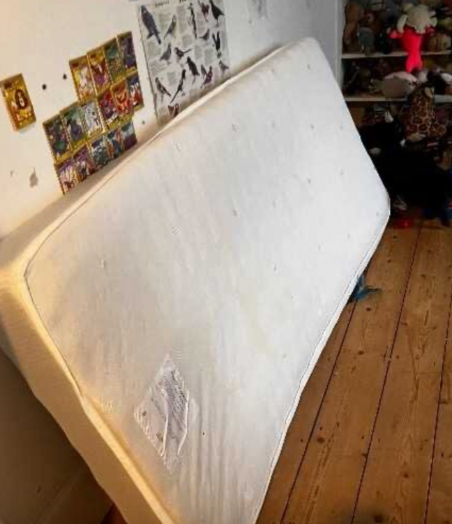 Screenshot 2025-08-23 at 12.24.20.png