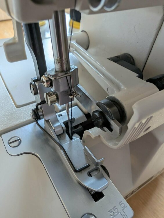 WhatsApp Image 2025-07-27 at 15.13.31 (10).jpeg